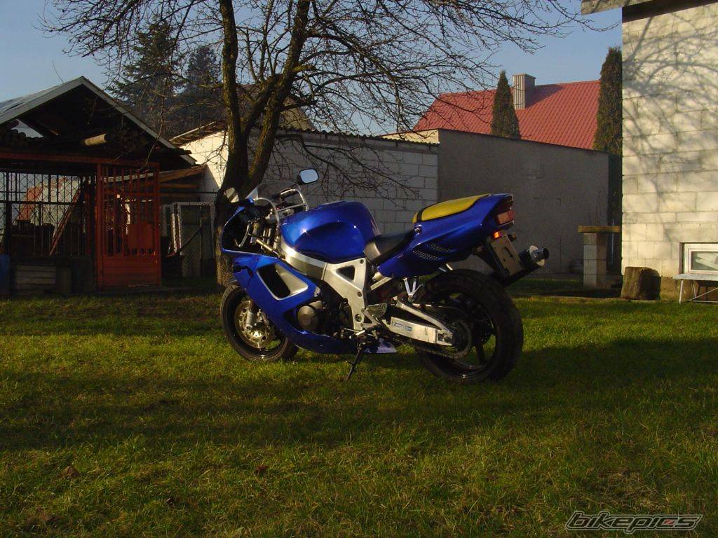 Photo 288978