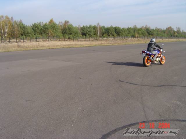Photo 288991