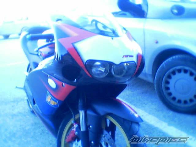 Photo 288995