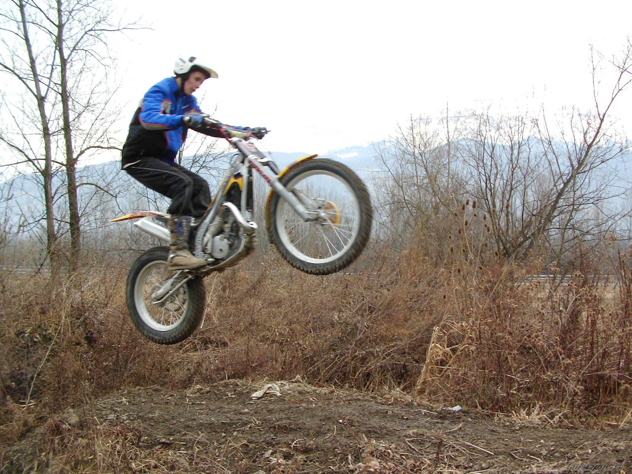 Photo 289227
