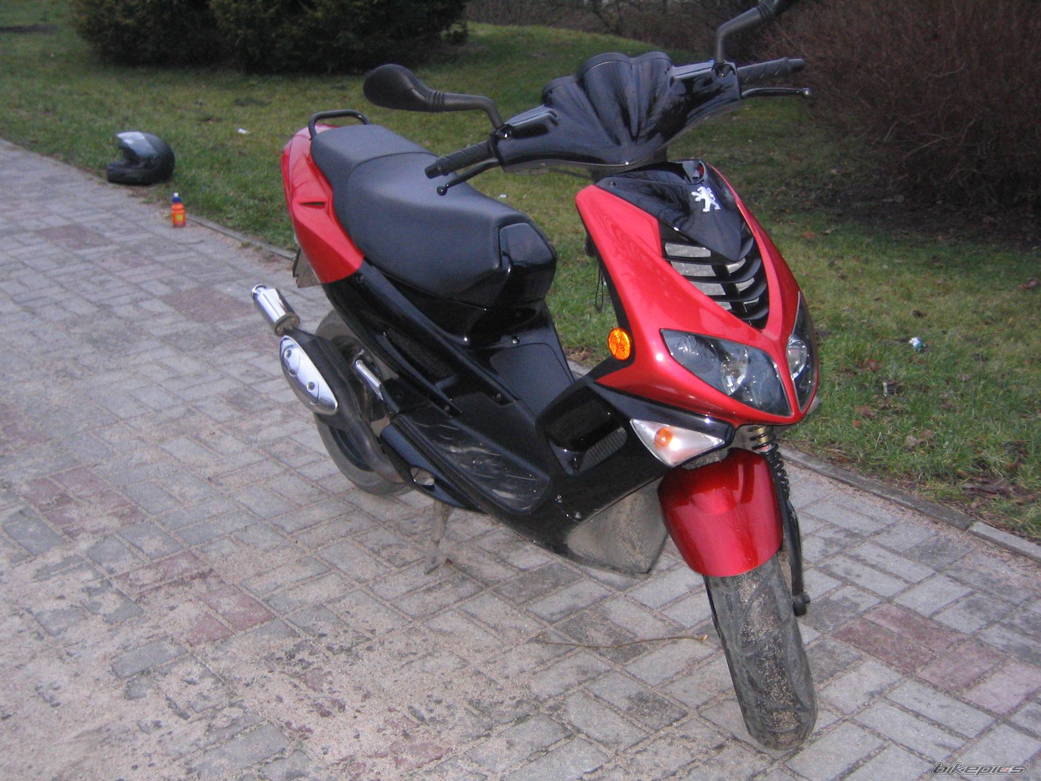 Photo 289242