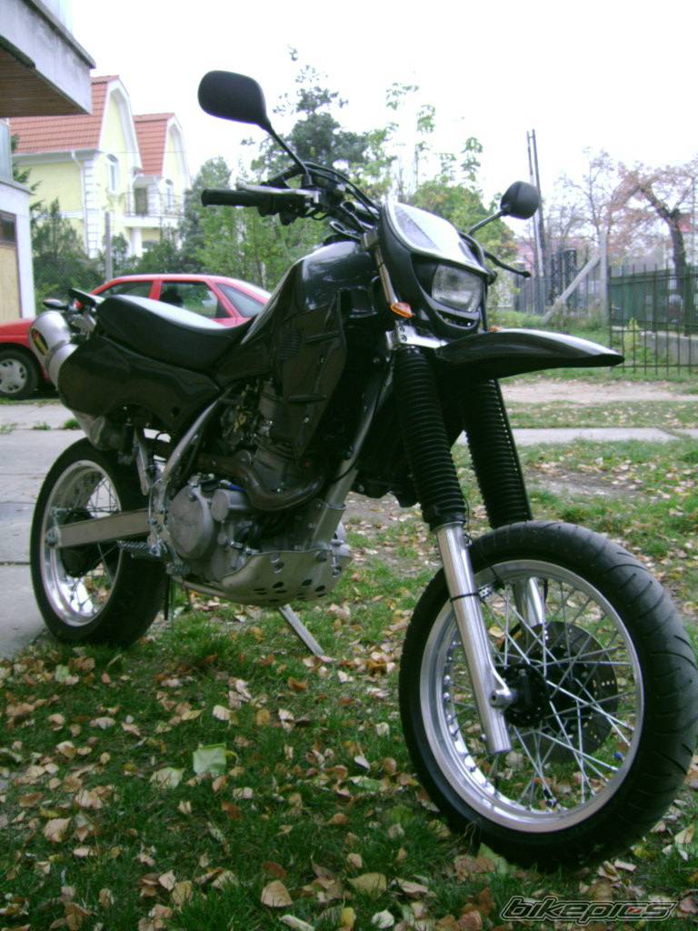 Photo 289277