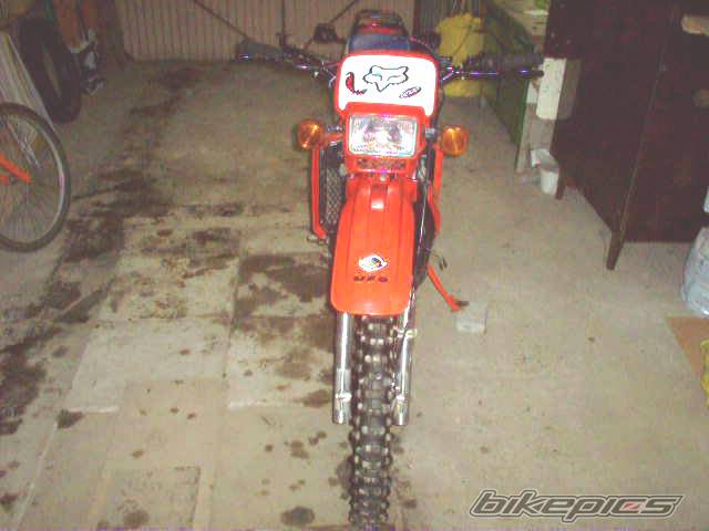 Photo 289350