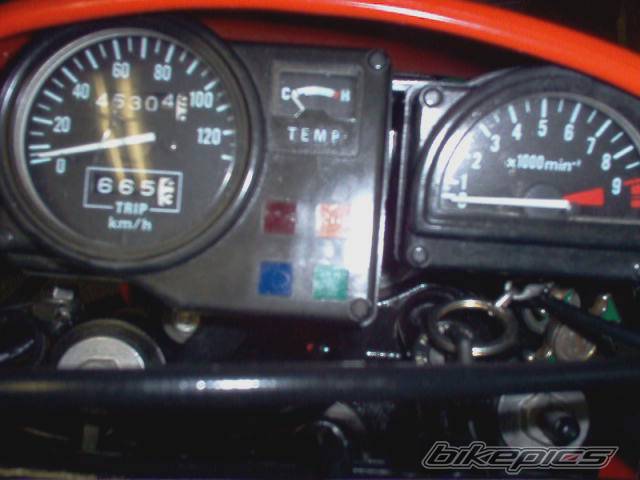 Photo 289365