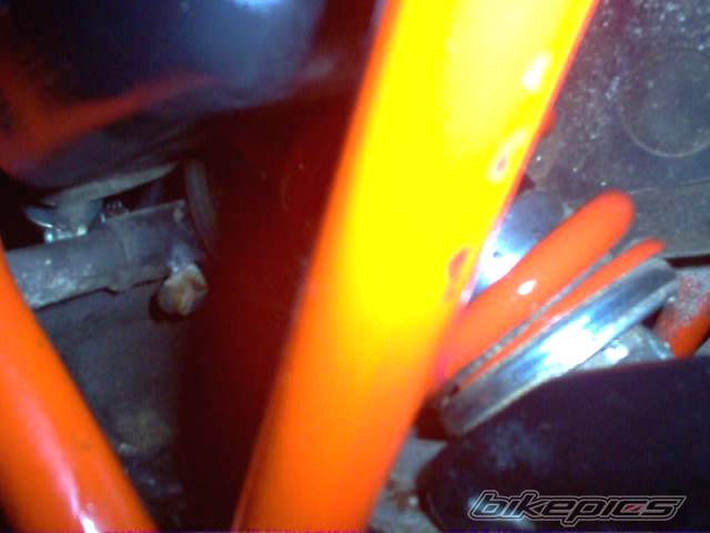 Bike Photo 289369