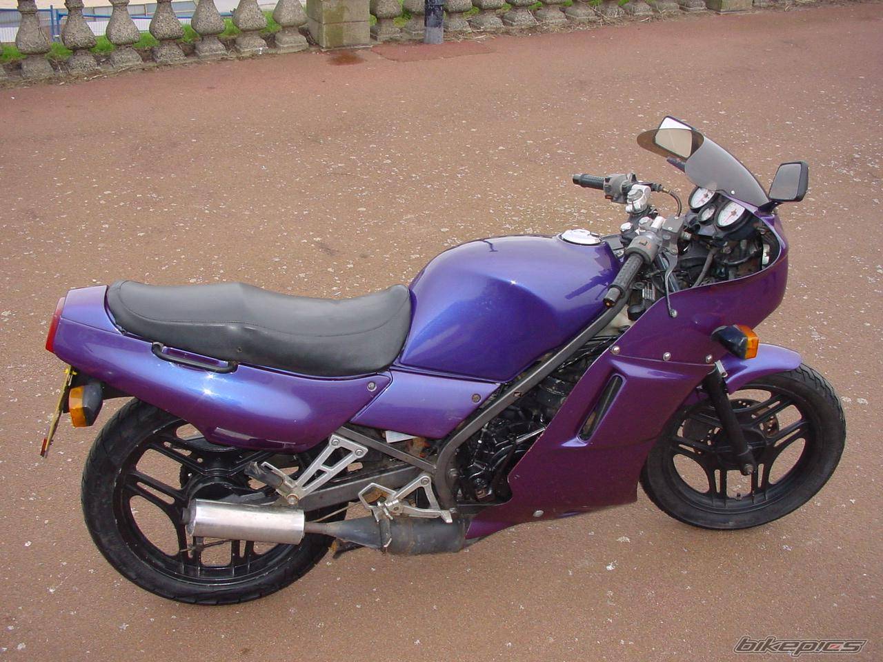 Photo 289387