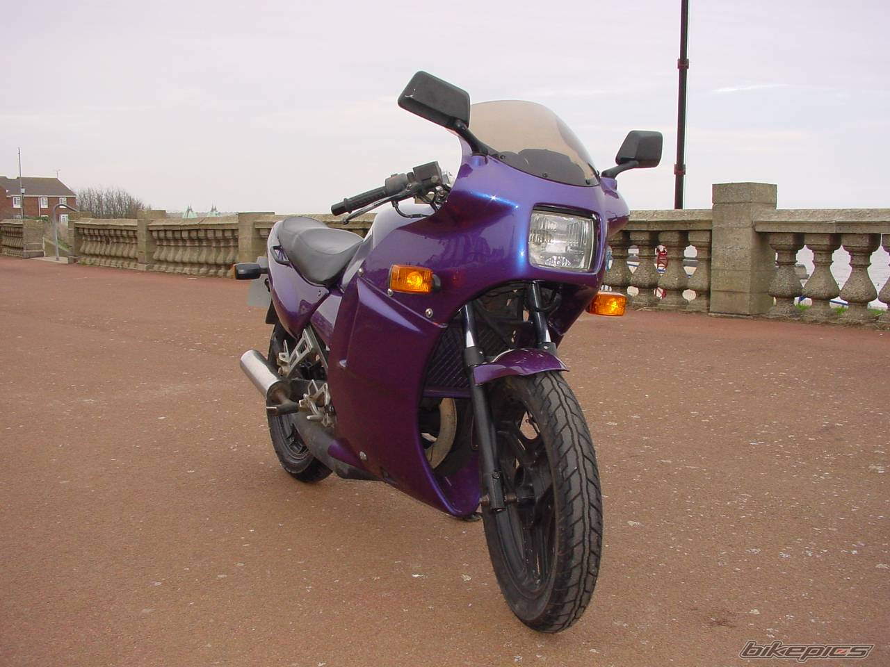 Photo 289388