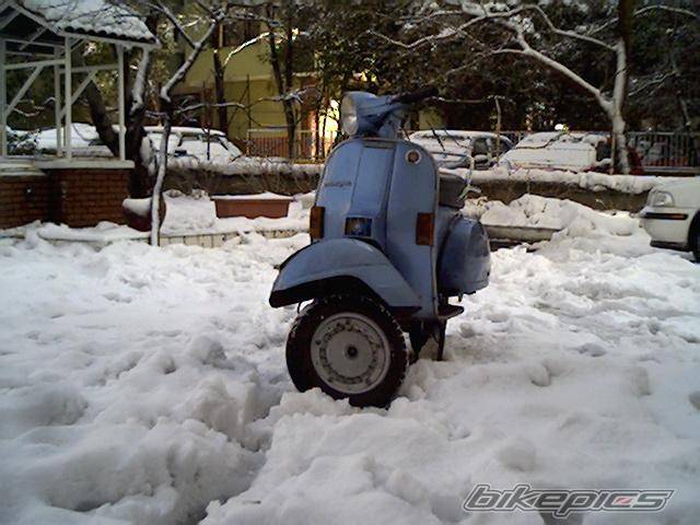 Photo 289398
