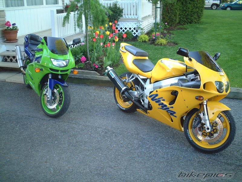 Photo 28945