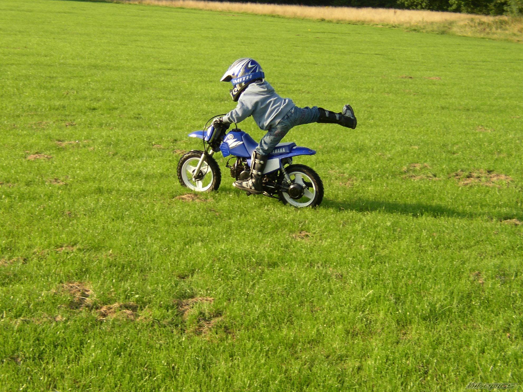 Photo 289475