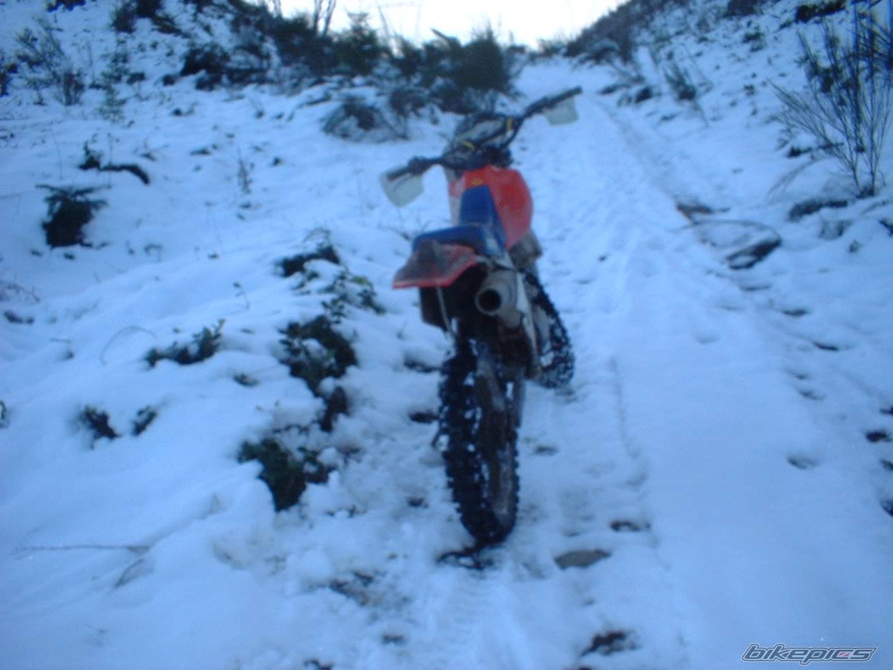 Bike Photo 289571