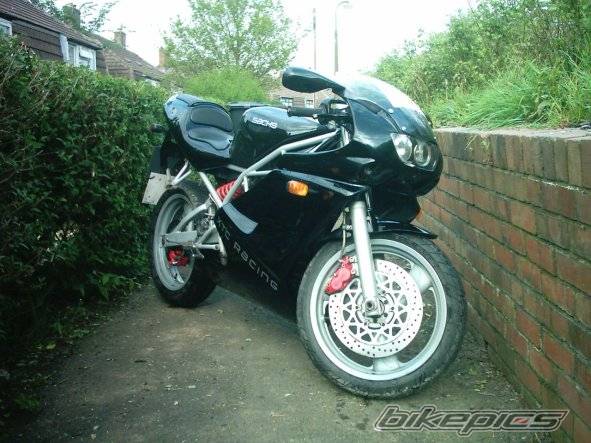 Photo 289604