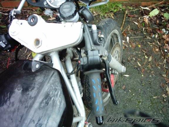 Photo 289605