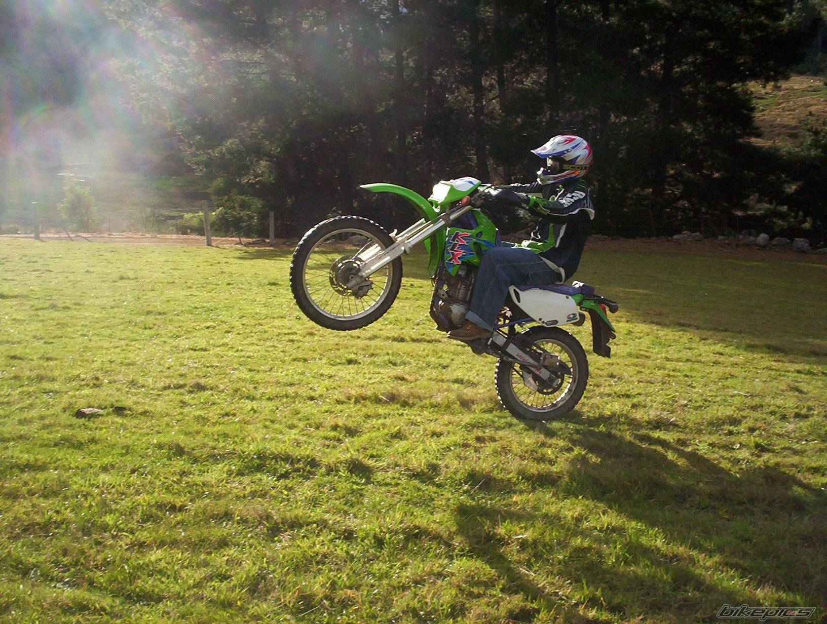 Photo 289639