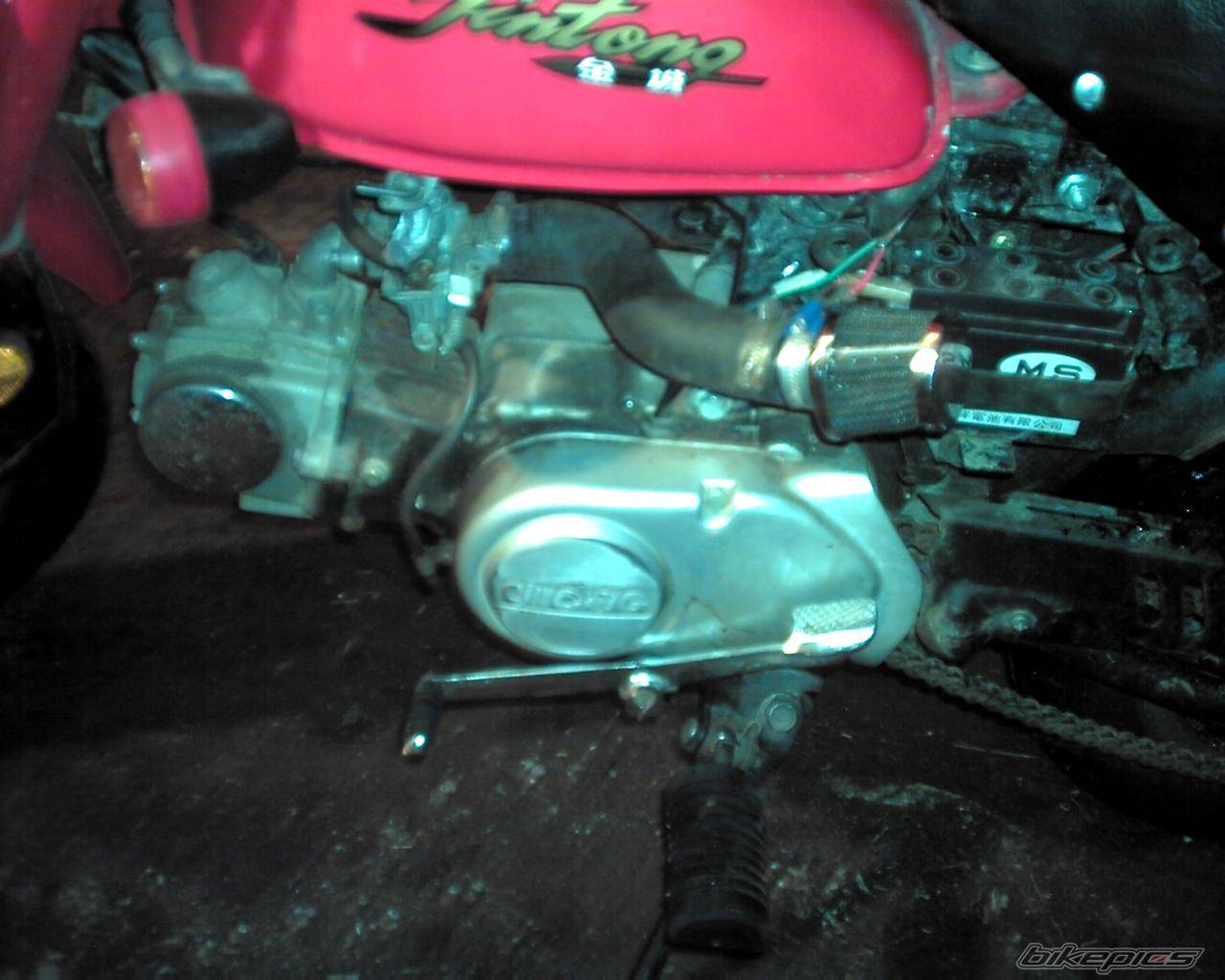 Photo 289674