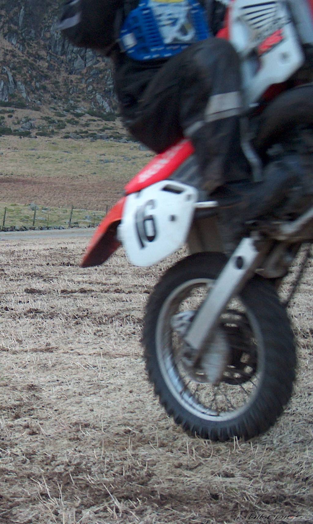 Photo 289738