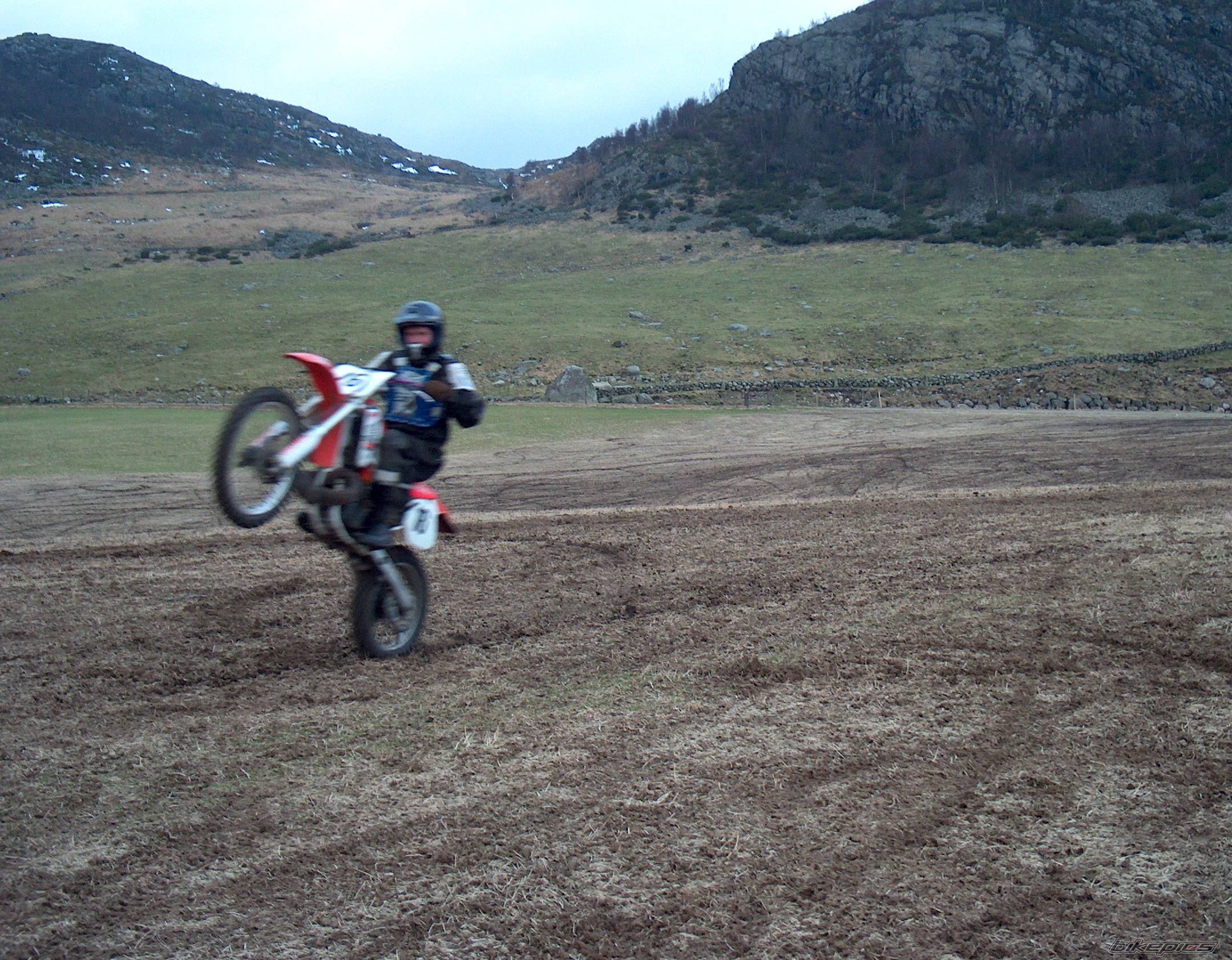 Photo 289741