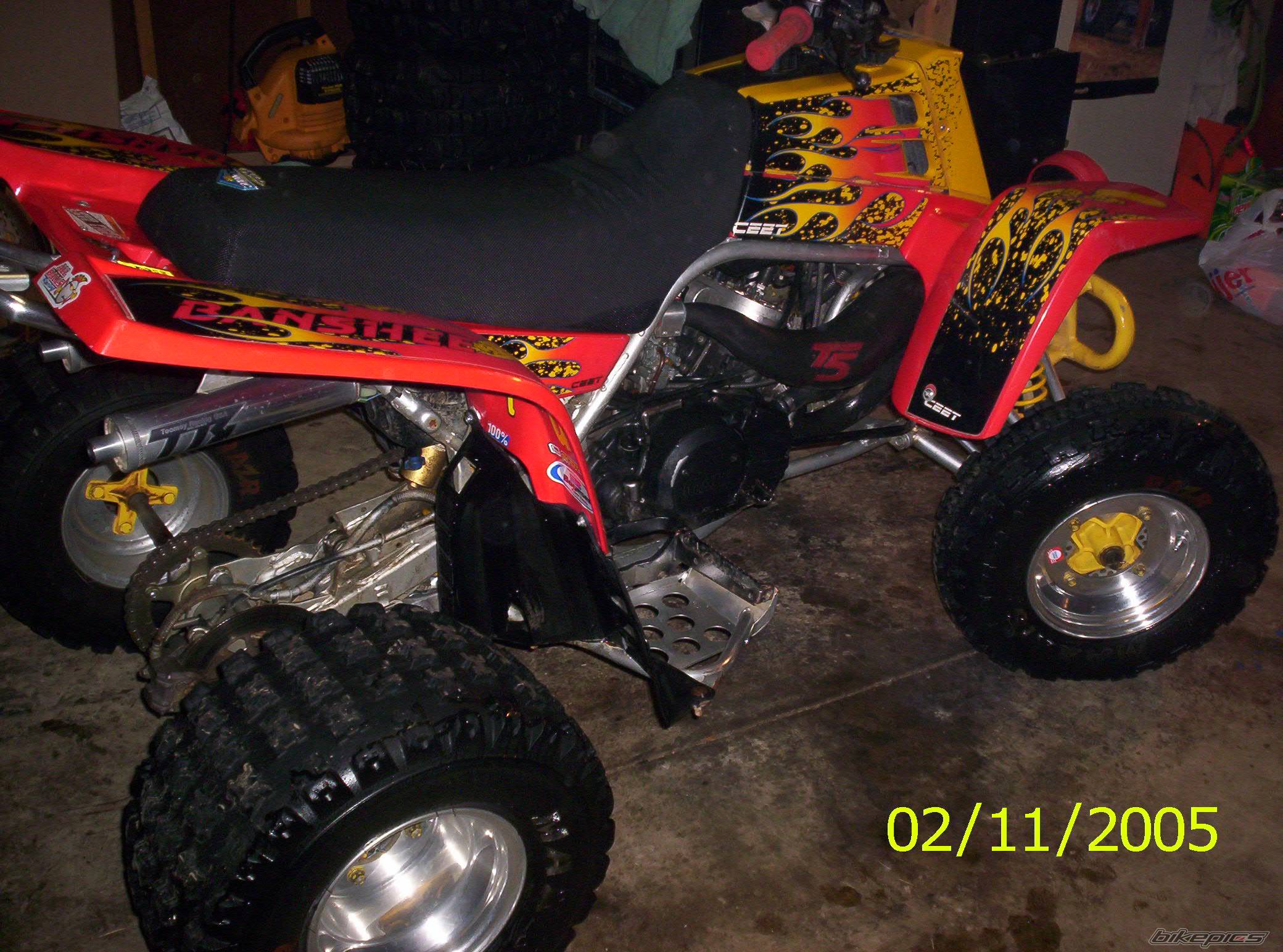 Photo 289797