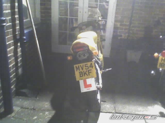 Photo 289805