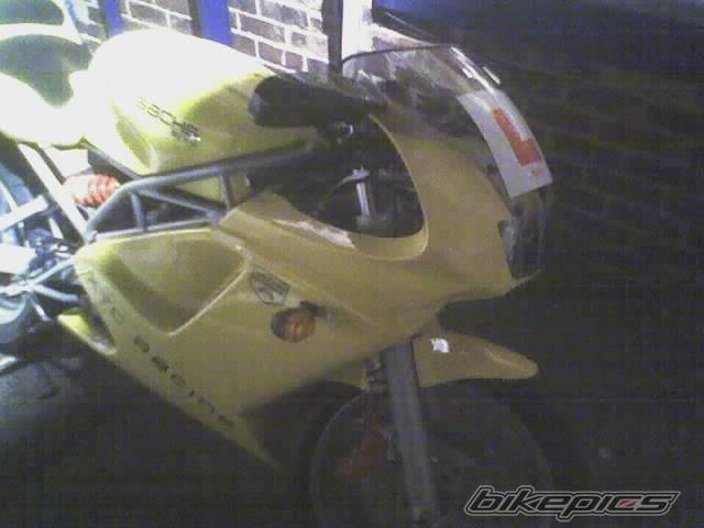 Photo 289806