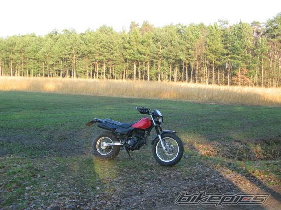 Photo 289850