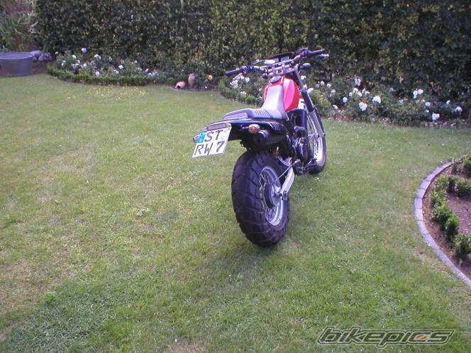 Photo 289852