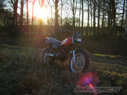 Photo 289873