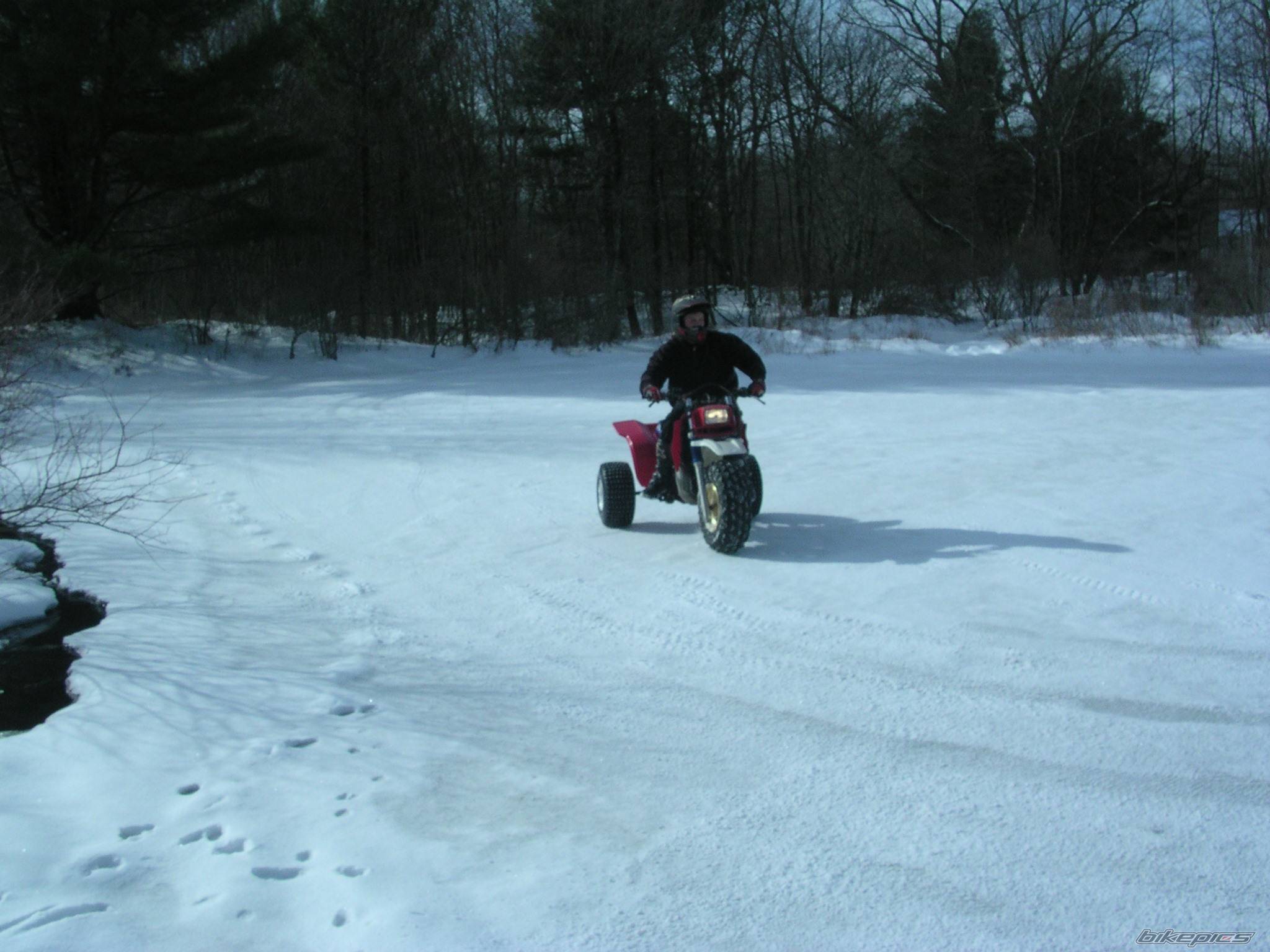 Photo 290071
