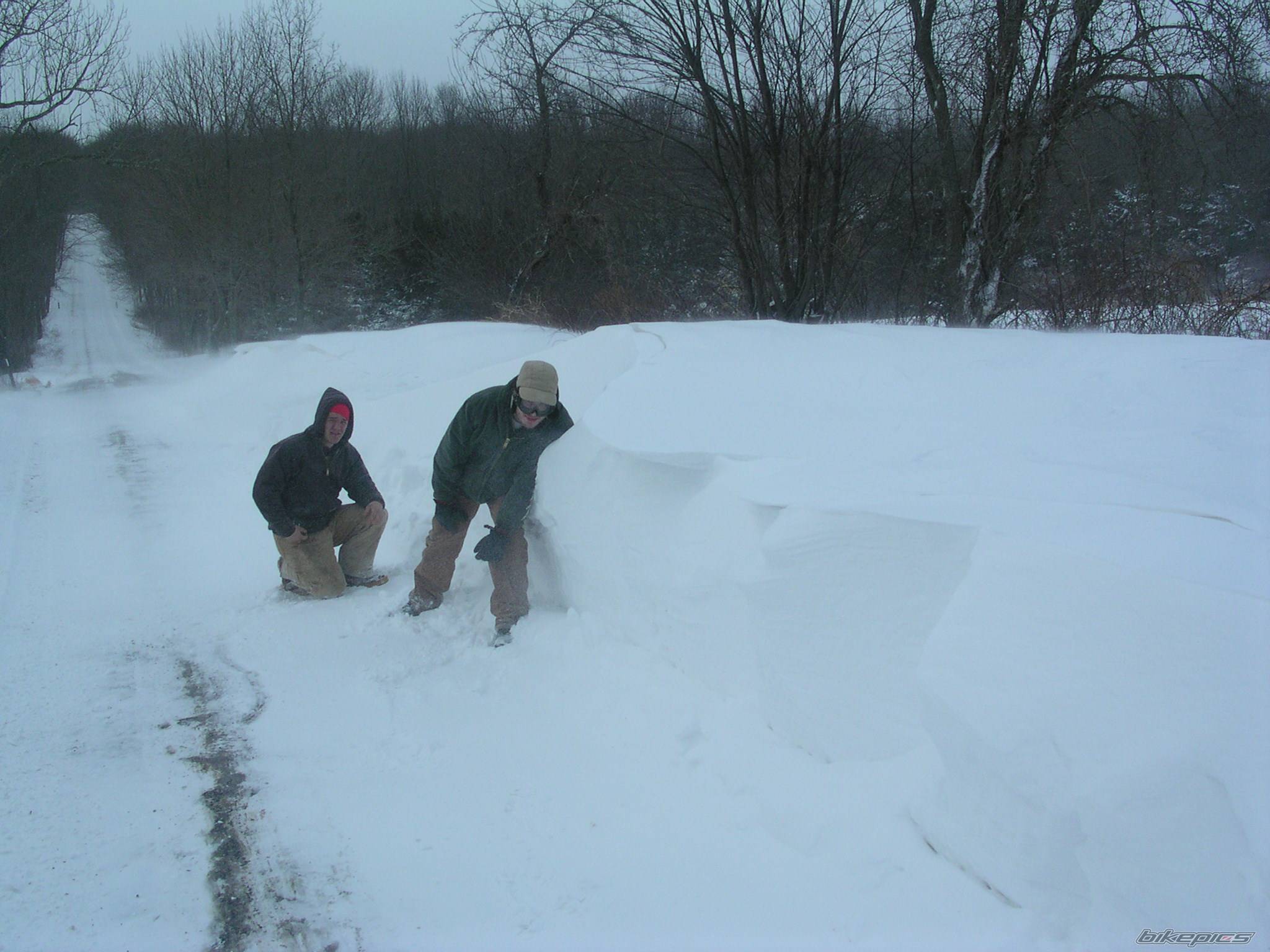 Photo 290078