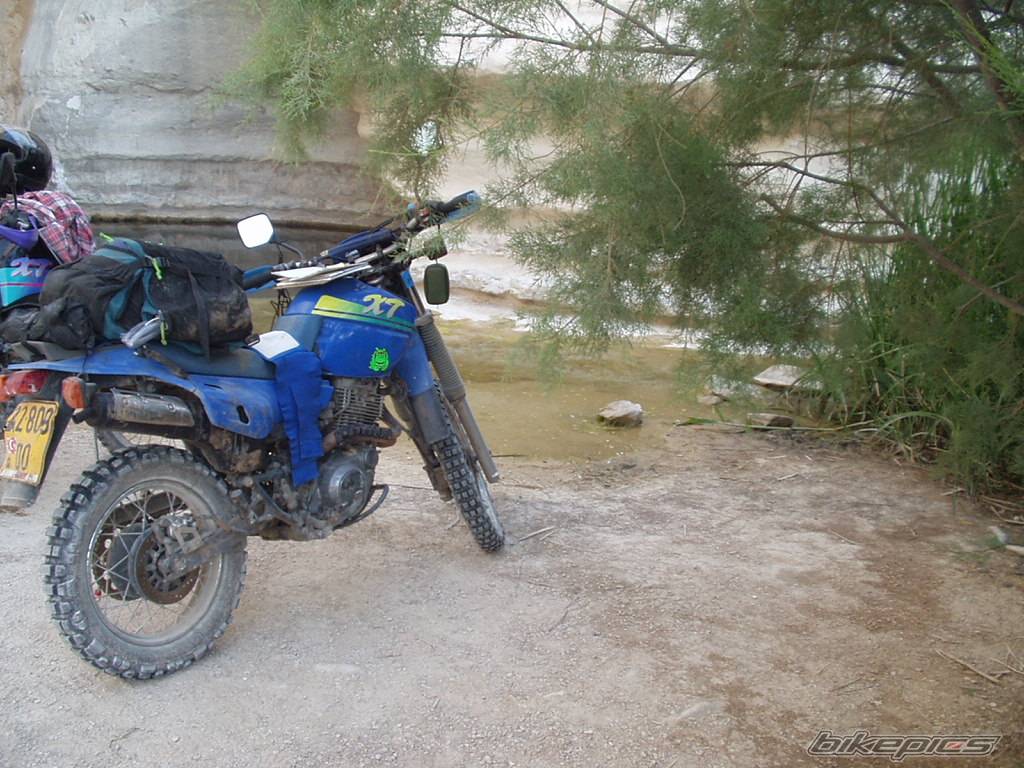 Bike Photo 29010