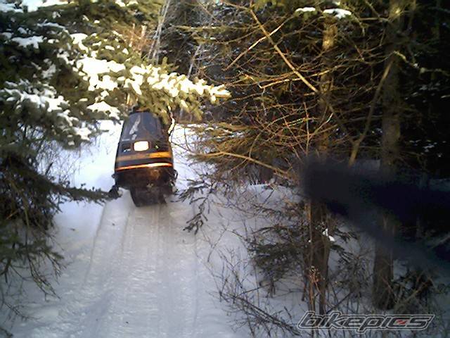 Photo 290183