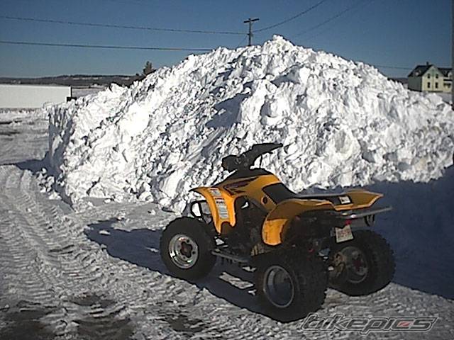 Photo 290189