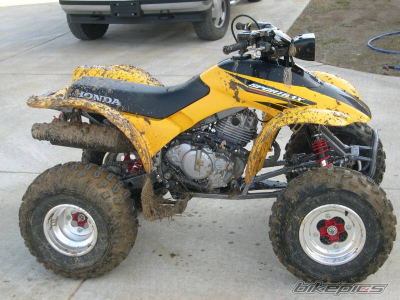 Bike Photo 290231