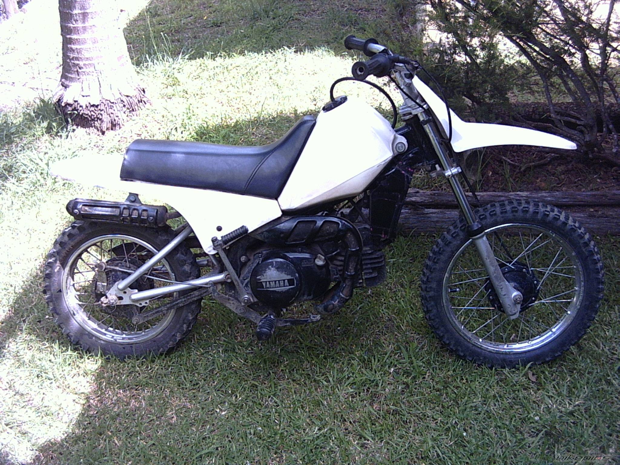 Bike Photo 290242
