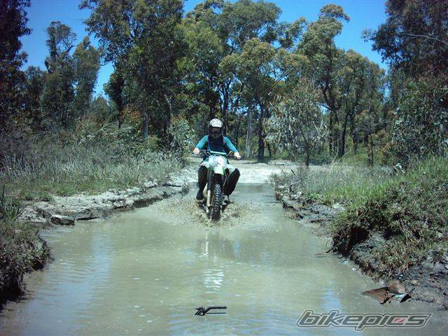 Photo 290259