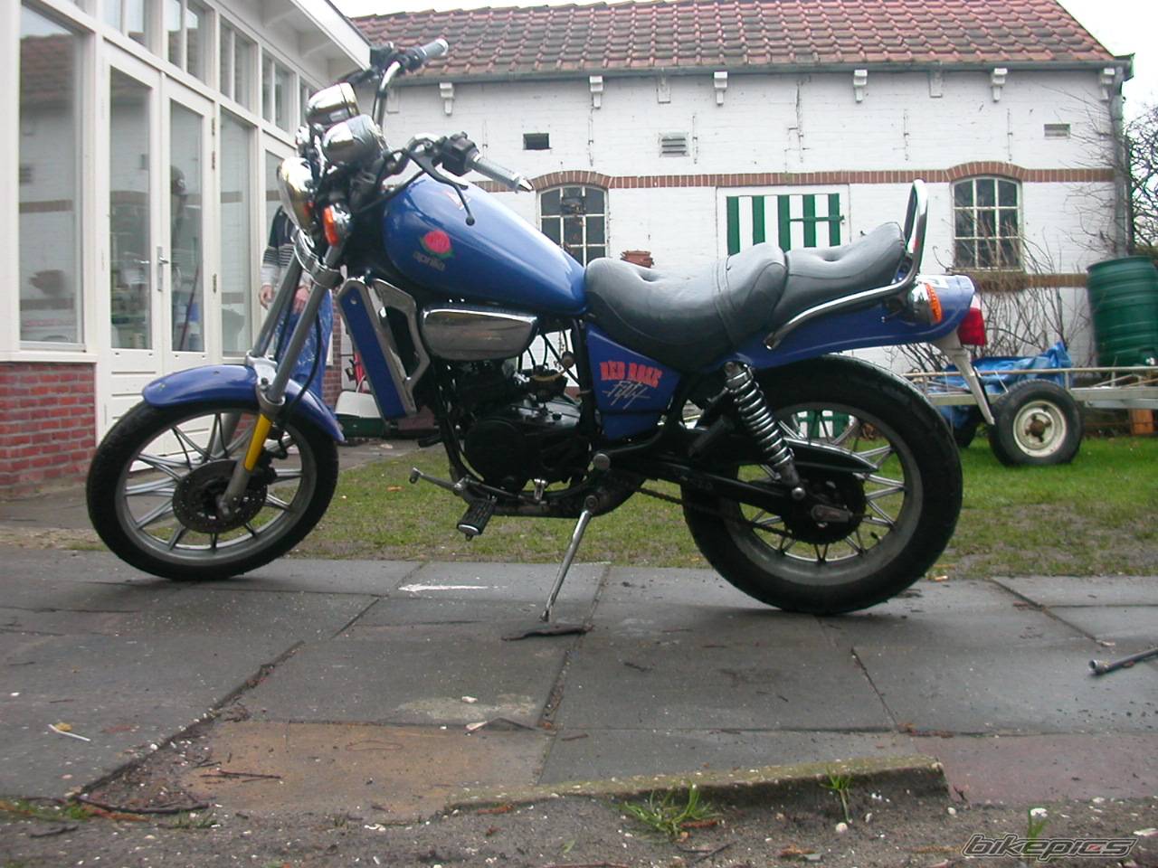 Photo 290333