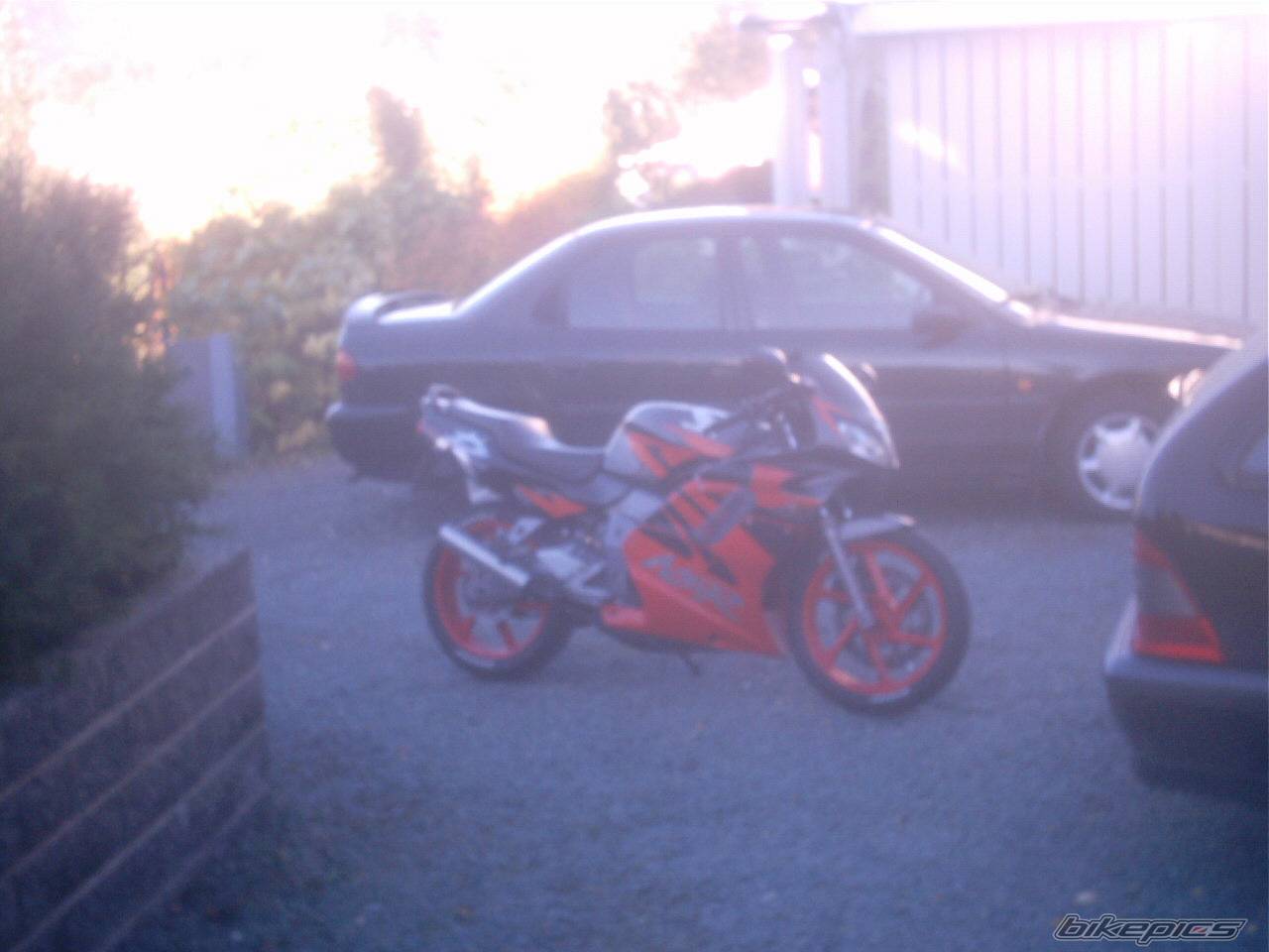 Photo 290374