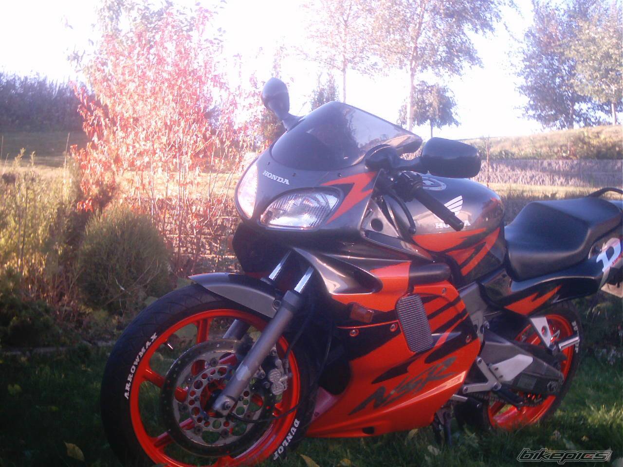 Photo 290379