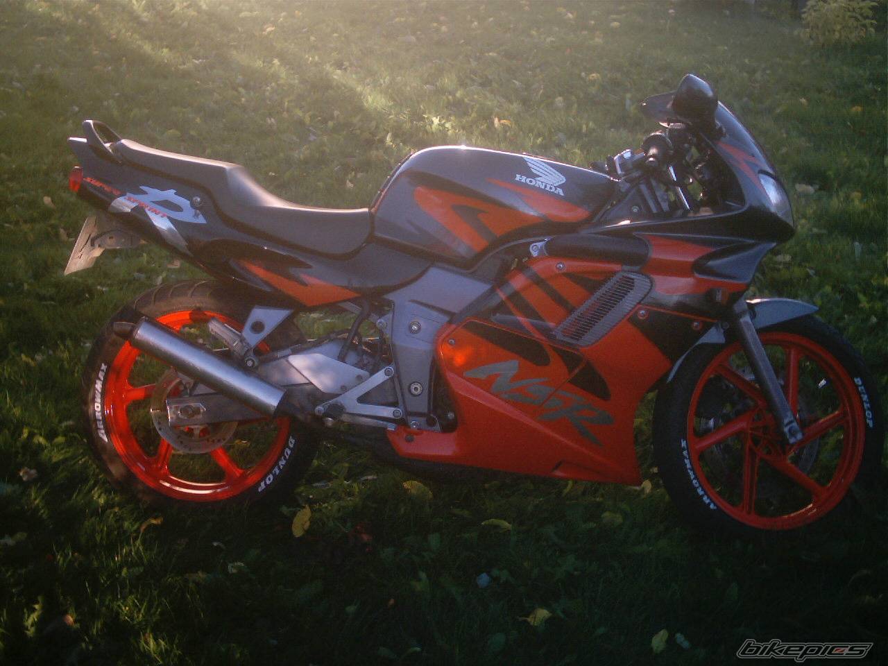 Photo 290381