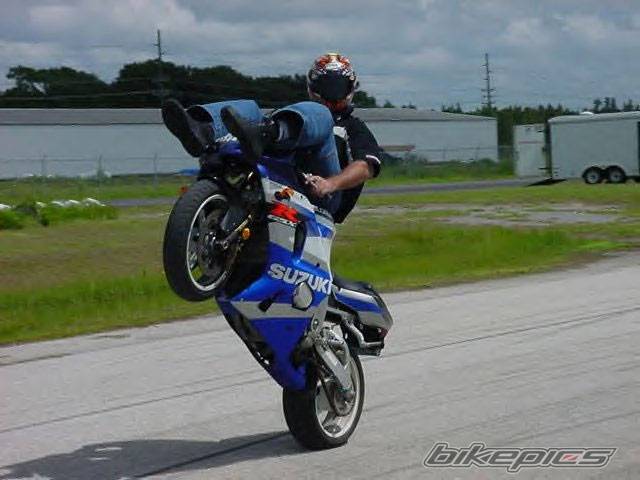 Photo 290387