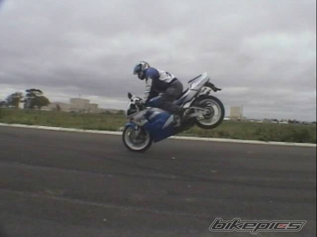 Photo 290423
