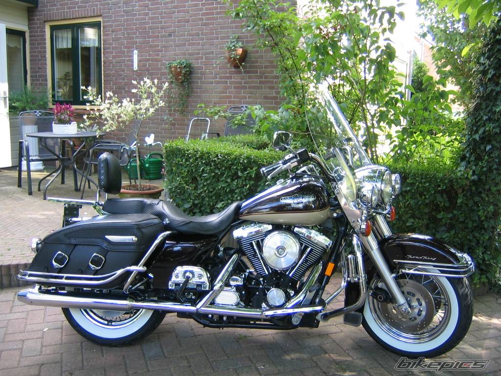 Bike Photo 290455