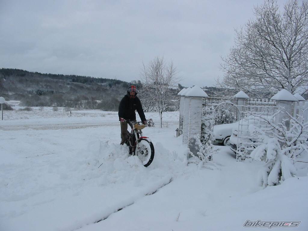 Photo 290484