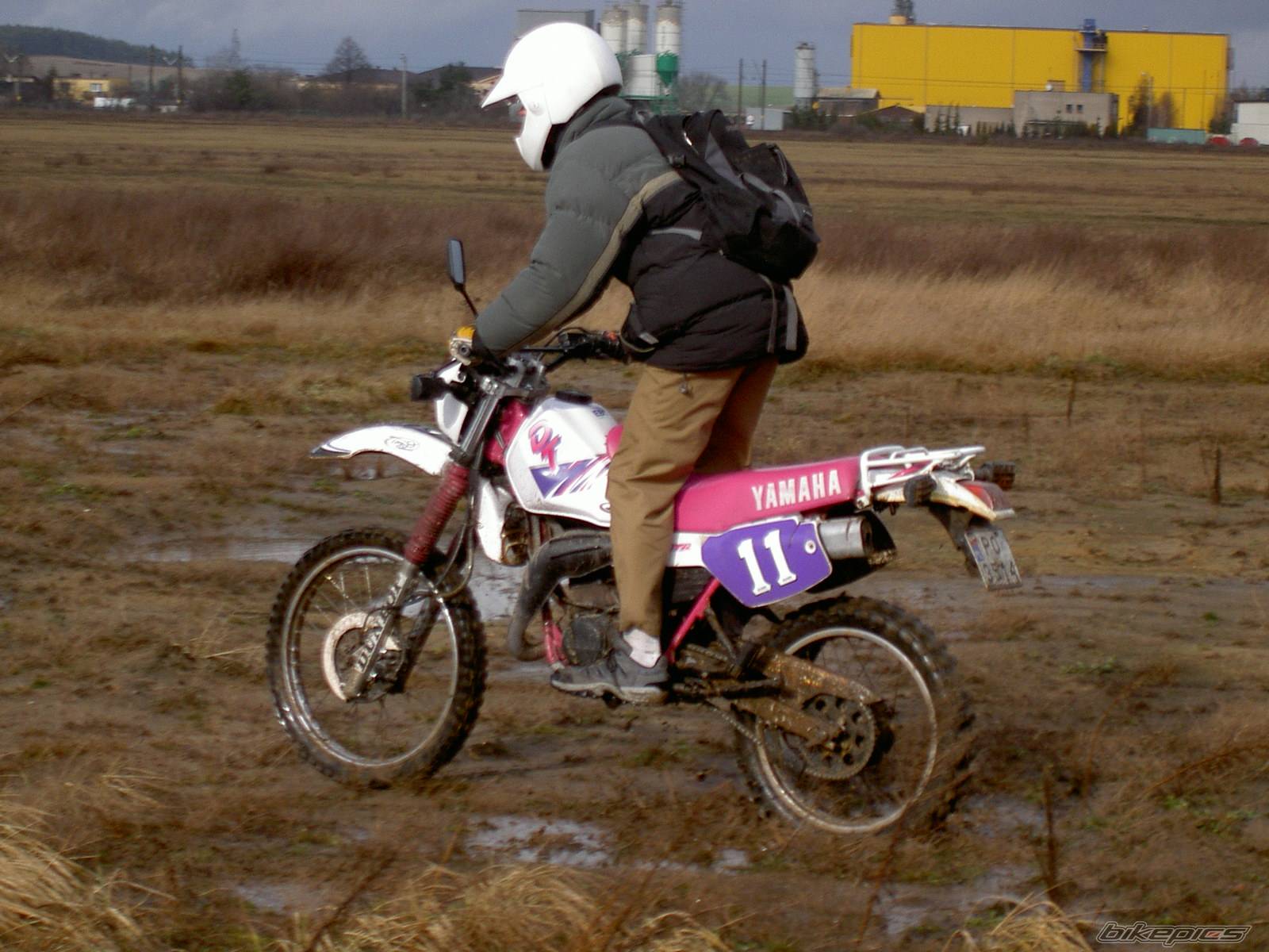 Bike Photo 290490