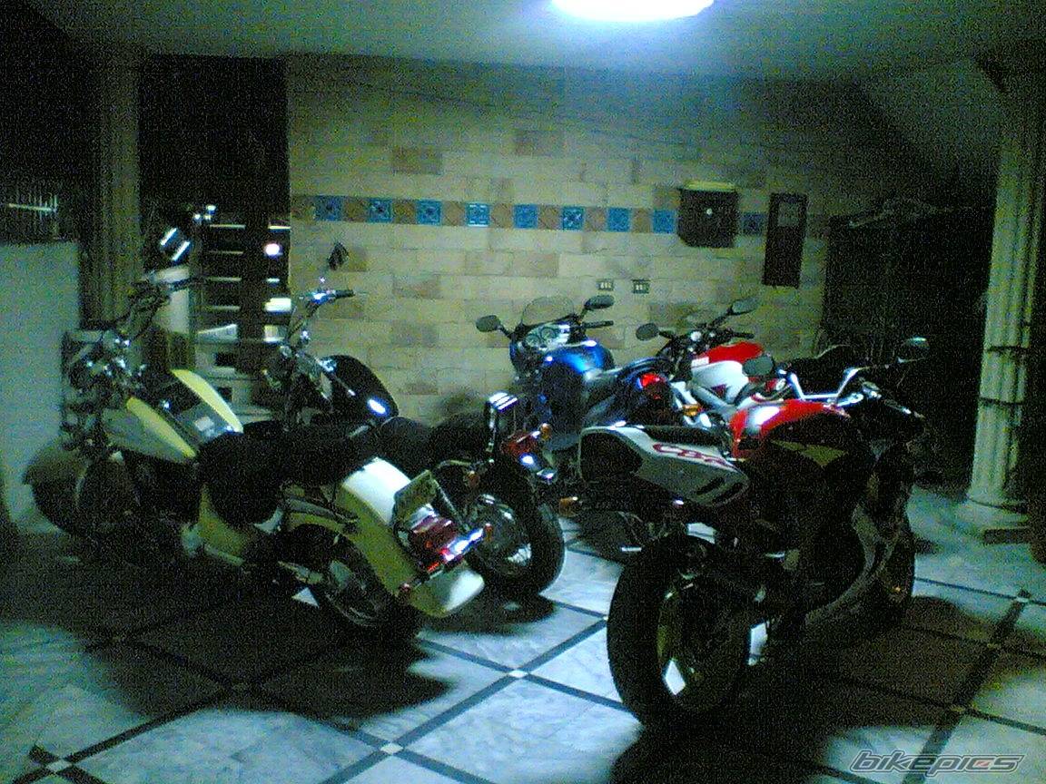 Photo 290491