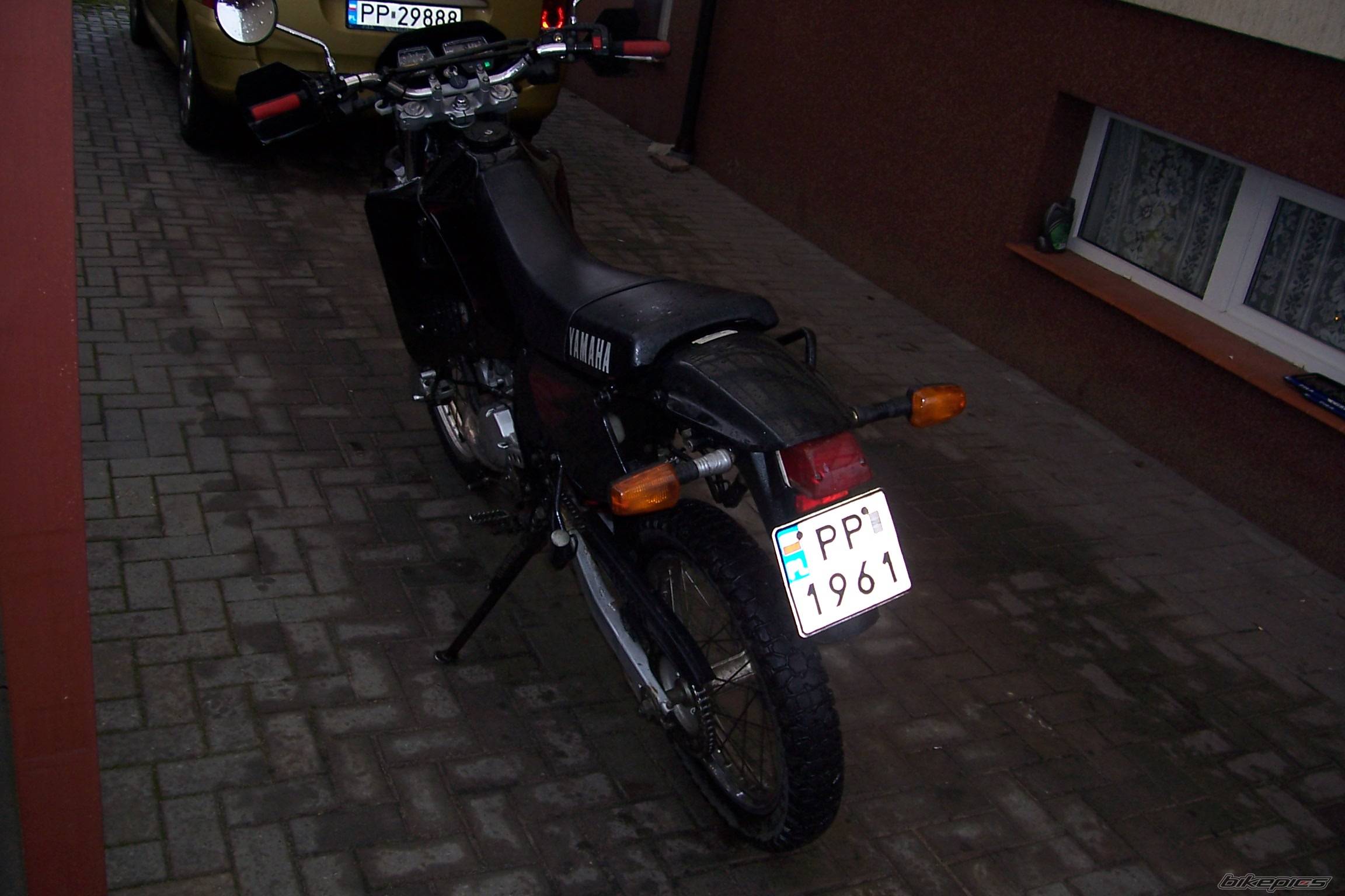 Photo 290559