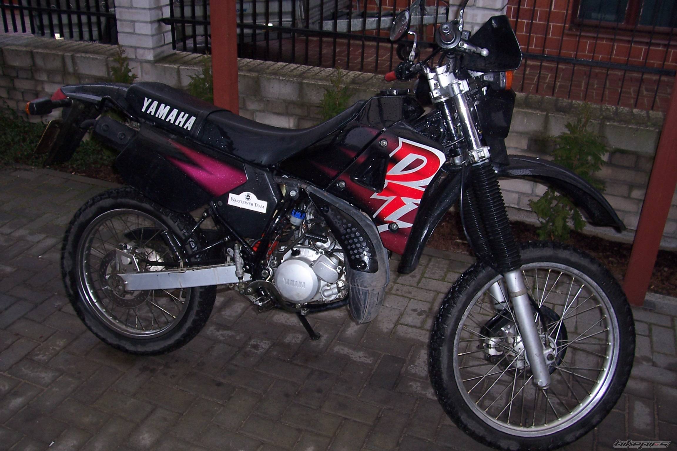 Photo 290562