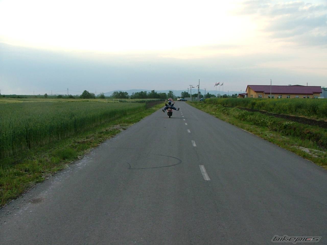 Photo 290573