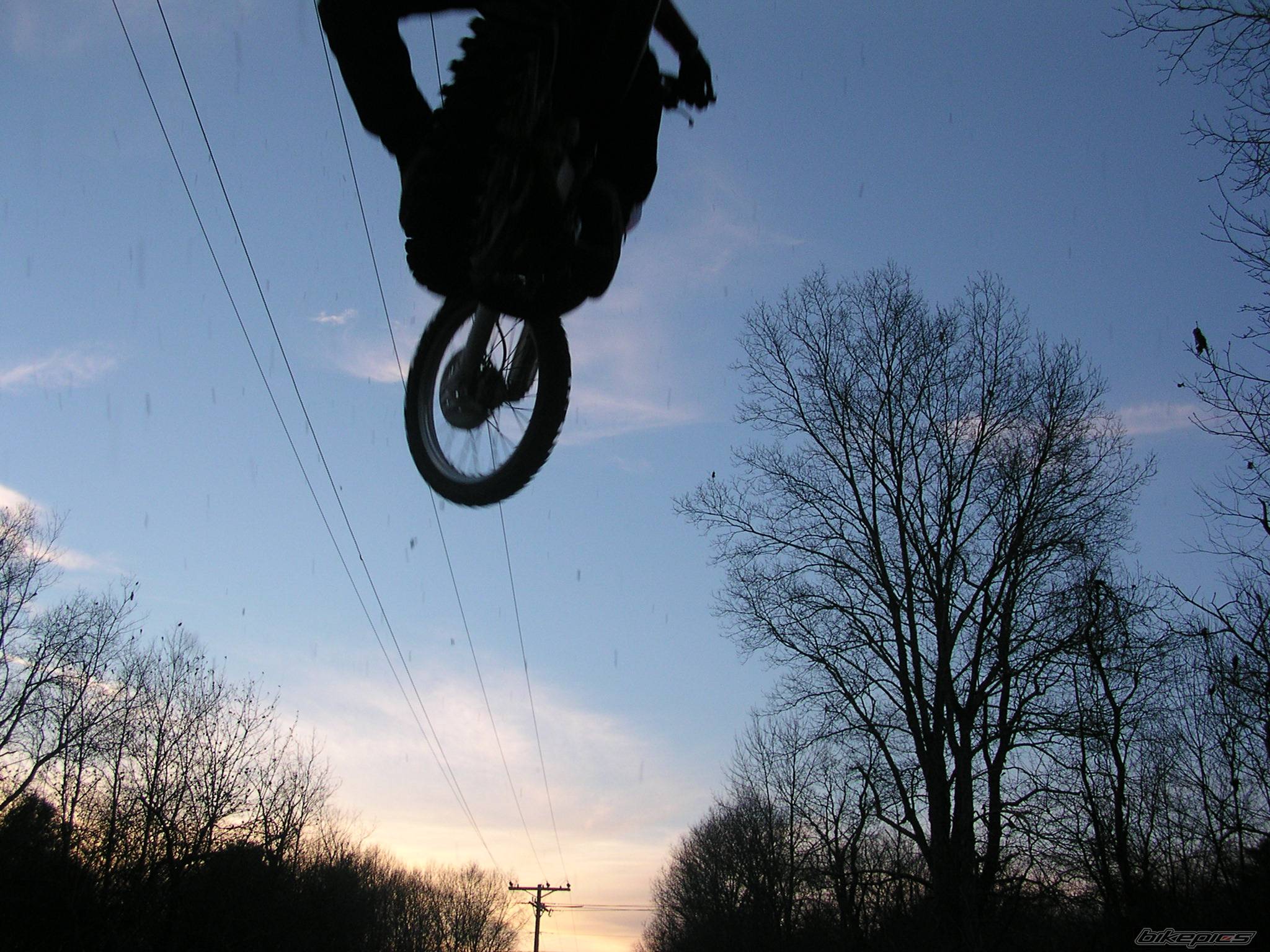 Photo 290580