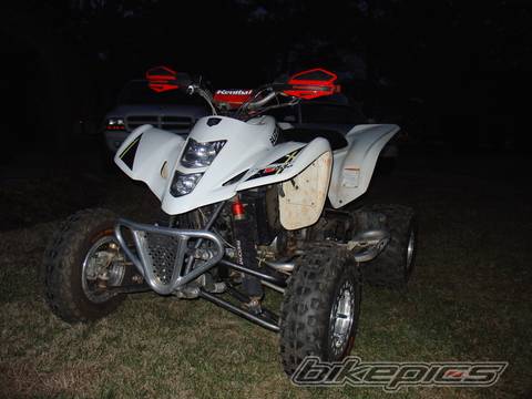 Photo 290589